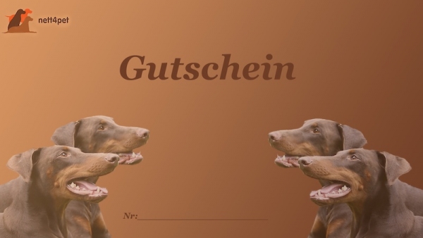 Gutschein 100¤